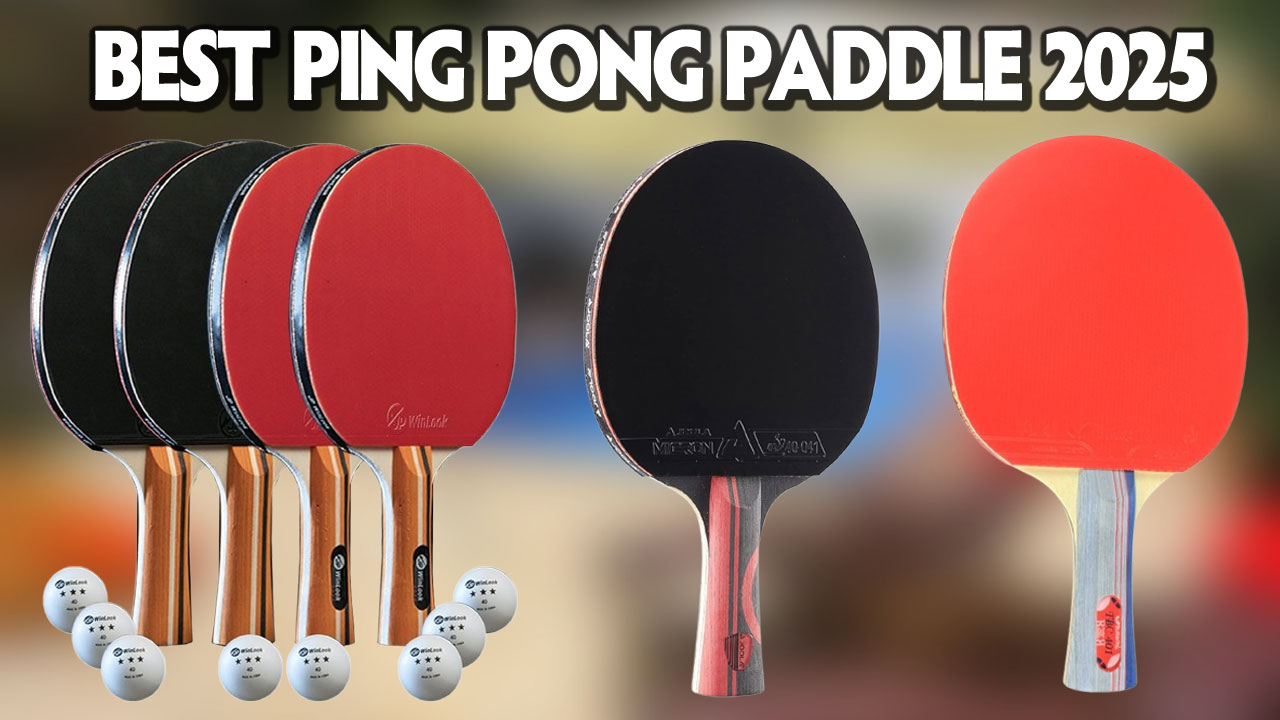 10 Best All Around Ping Pong Paddle Reviews 2026 10 Best All Around Ping Pong Paddle Reviews 2026